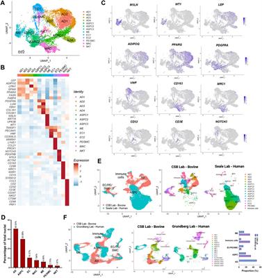 Single-nuclei analysis reveals depot-specific transcriptional heterogeneity and depot-specific cell types in adipose tissue of dairy cows